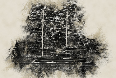 Similar image 11806144