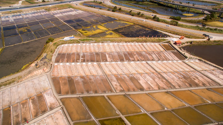 Similar image 11801162