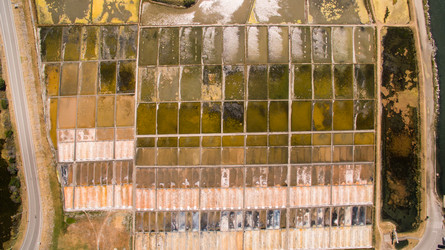 Similar image 11801165