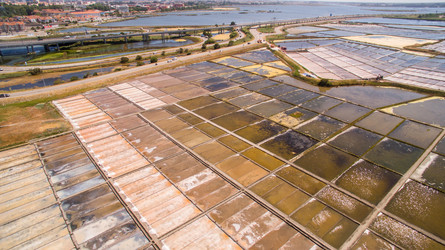 Similar image 11801166