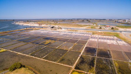 Similar image 11801167