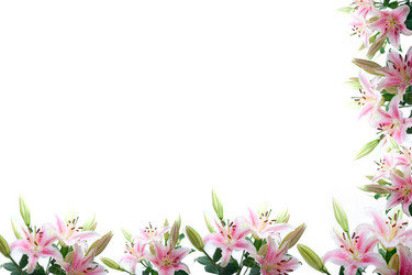 Similar image 11797772