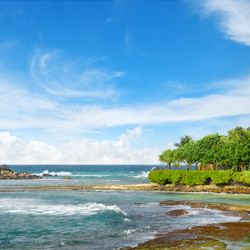 Similar image 11801151