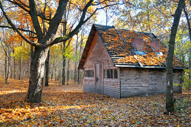 Similar image 11801153