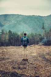 Similar image 11803786