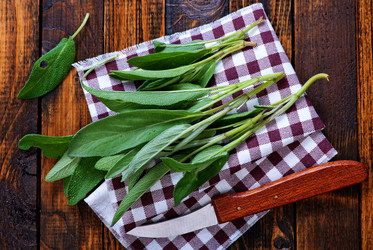 Similar image 11799451