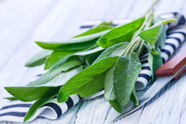 Similar image 11799466