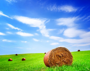 Similar image 11799625