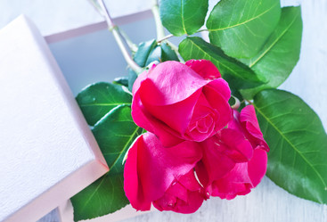 Similar image 11799931