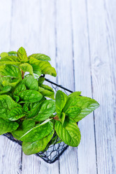 Similar image 11799713