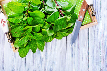 Similar image 11799725