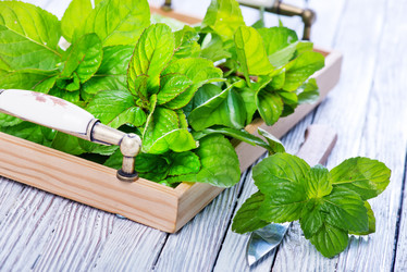 Similar image 11799729