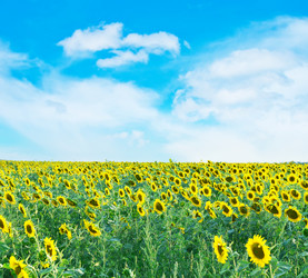 Similar image 11799957