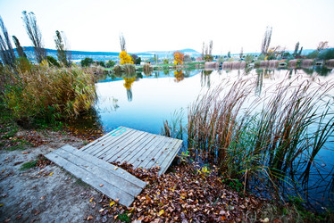 Similar image 11799498