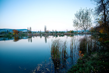 Similar image 11799499