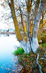 Similar image 11799503