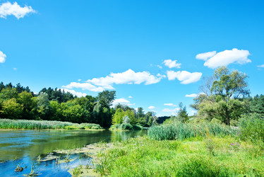 Similar image 11799518