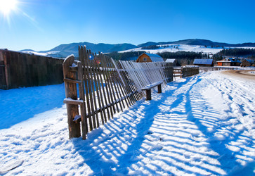 Similar image 11799541