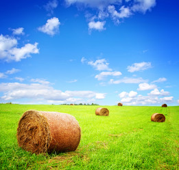 Similar image 11799620