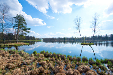 Similar image 11799761