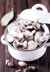 Similar image 11799804