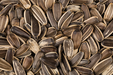 Similar image 11834231