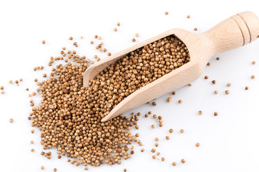 Similar image 11834233