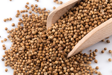 Similar image 11834237