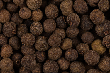 Similar image 11834250