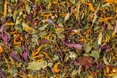 Similar image 11834272