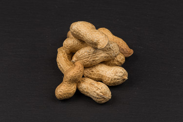 Similar image 11834288