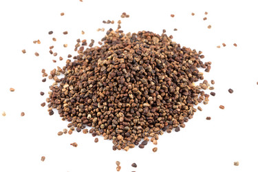 Similar image 11833937