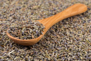 Similar image 11833972