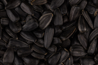 Similar image 11833988