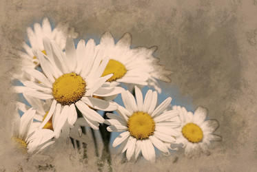 Similar image 11806231