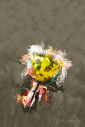 Similar image 11806234