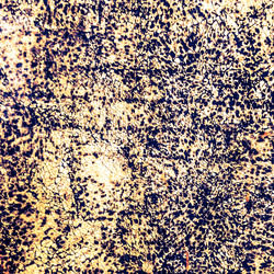 Similar image 11806236