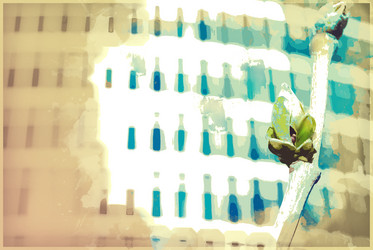 Similar image 11806237