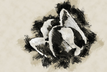 Similar image 11806238