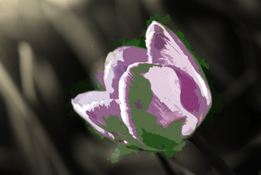 Similar image 11806254