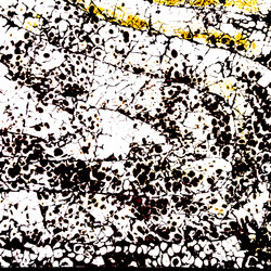 Similar image 11806275