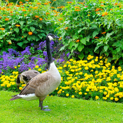 Similar image 11801334