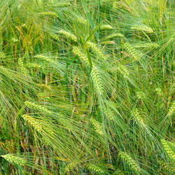 Similar image 11801368