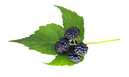 Similar image 11800863