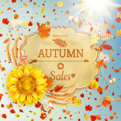 Similar image 11808888