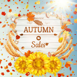 Similar image 11808889