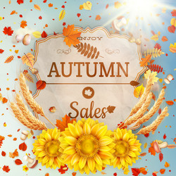 Similar image 11808890