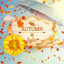 Similar image 11809157