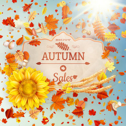 Similar image 11809158