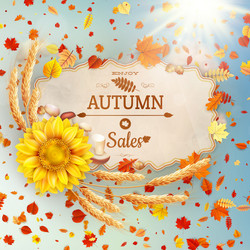 Similar image 11809159